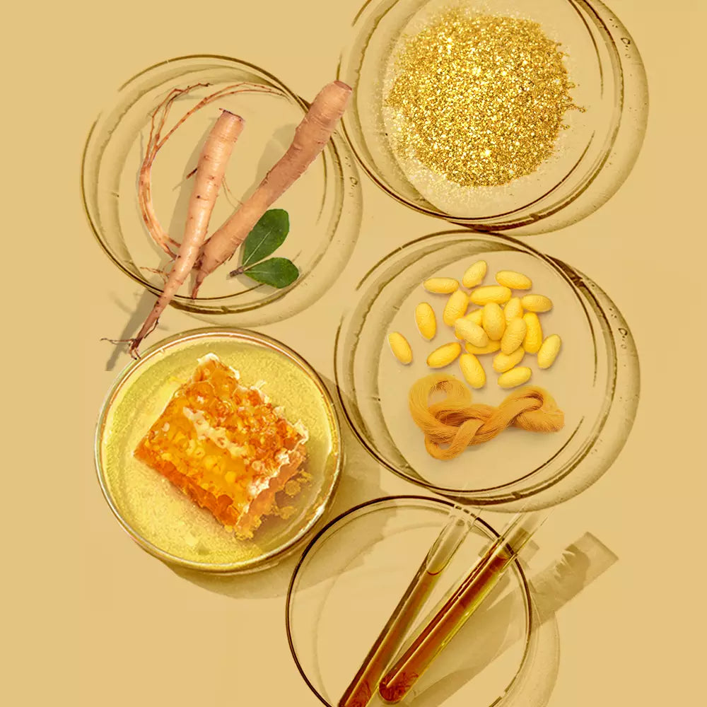 GINSENG ROYAL SILK EYE CREAM