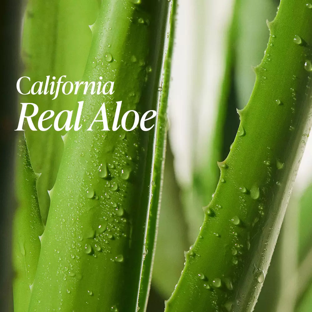 REAL SQUEEZE ALOE VERA BALM